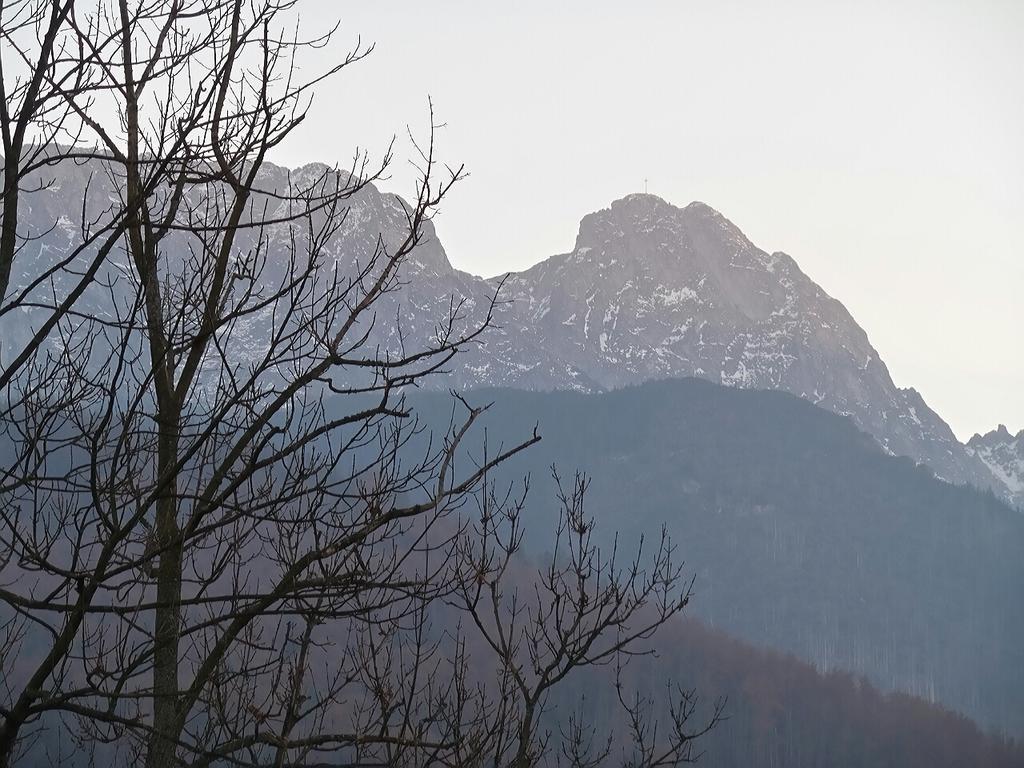 Ferienwohnung Willa Pod Halami Zakopane Exterior foto