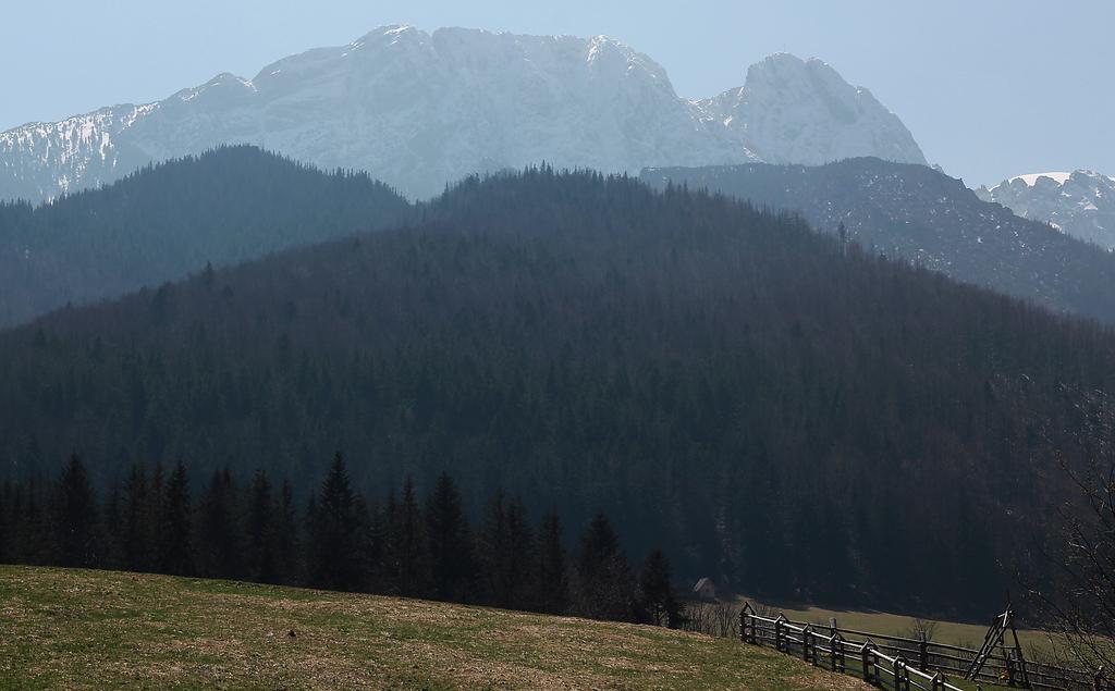 Ferienwohnung Willa Pod Halami Zakopane Exterior foto